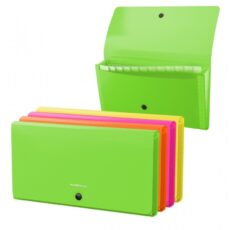 TRIEUR CHEQUIER 12 COMPARTIMENTS NEON - ERICHKRAUSE