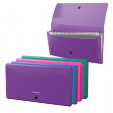 TRIEUR CHEQUIER 12 COMPARTIMENTS VIVID - ERICHKRAUSE