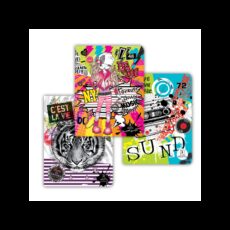 CAHIER N°24 PIQUE SEYES 17 X 22 - SELECTA