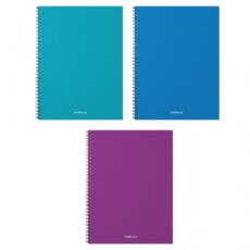 CAHIER AVEC SPIRALE VIVID A4 60 FEUILLES PP 5/5 - ERICHKRAUSE