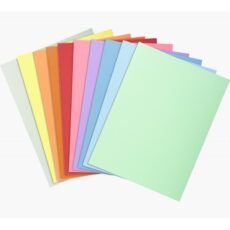 CHEMISE CARTONNEE 4 COULEURS - ASSORTIES