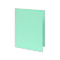 CHEMISE BRISTOL CARTONNEE VERT PASTEL PQ 100