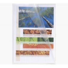 LOT DE 50 CHEMISES A COIN EXACOMPTA A4 PP GRAINEE CRISTAL