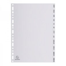 JEU INTERCALAIRES EXACOMPTA A4 POLYPROPYLENE MENSUELLE 12T