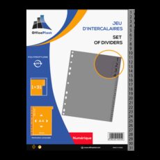 JEU DE 31 INTERCALAIRES NUMERIQUE A4 EN PP GREYSPLIT