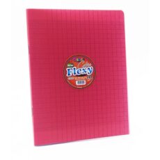 CAHIER N°24 COUVERTURE EN PP- PIQUE SEYES 17*22