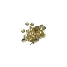 BOITE DE 50 PUNAISES 10MM
