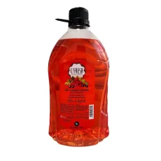 Gel Lavant C'Fresh Fruits Rouges 3L - Douceur et Propreté pour Vos Mains